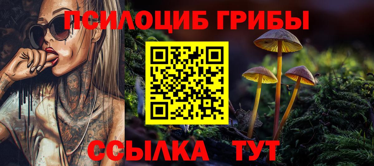 Галлюциногенные грибы GOLDEN TEACHER Хасавюрт