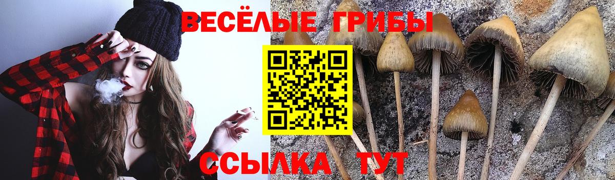 Хасавюрт  Галлюциногенные грибы GOLDEN TEACHER  Вход с VPN  Галлюциногенные грибы Magic Shrooms 